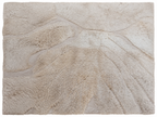 RH Tarras Wool Rug – 10' × 14' Wheat | 100% Hand-Spun Wool | Hand-Knotted | Sculptural High-Low Texture